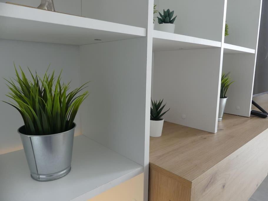 Apartament 19 Piso Centrico, Nuevo Y Bien Equipado En La Trinidad La Laguna  Zewnętrze zdjęcie