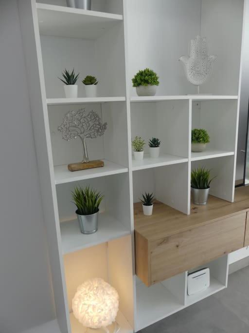 Apartament 19 Piso Centrico, Nuevo Y Bien Equipado En La Trinidad La Laguna  Zewnętrze zdjęcie